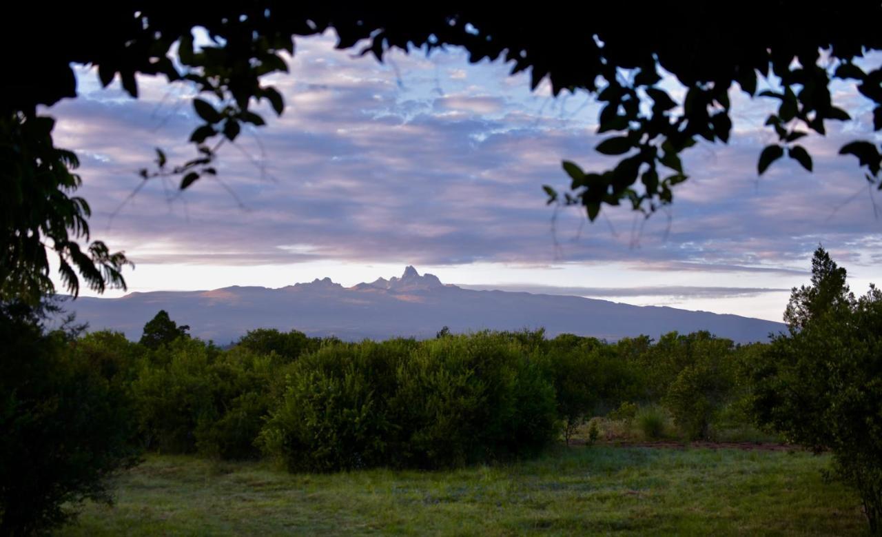 Olepangi Farm Villa Nanyuki Eksteriør billede