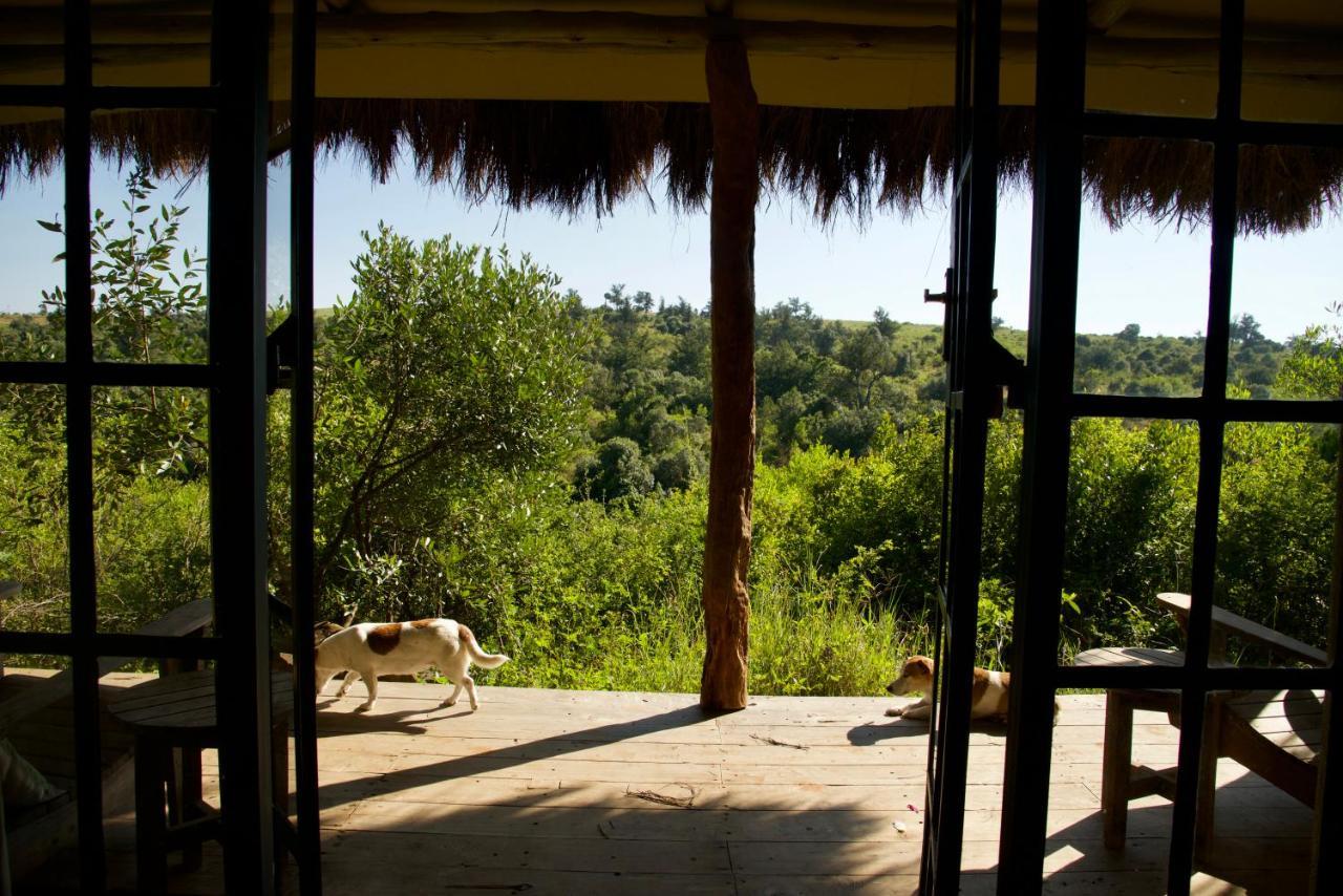 Olepangi Farm Villa Nanyuki Eksteriør billede