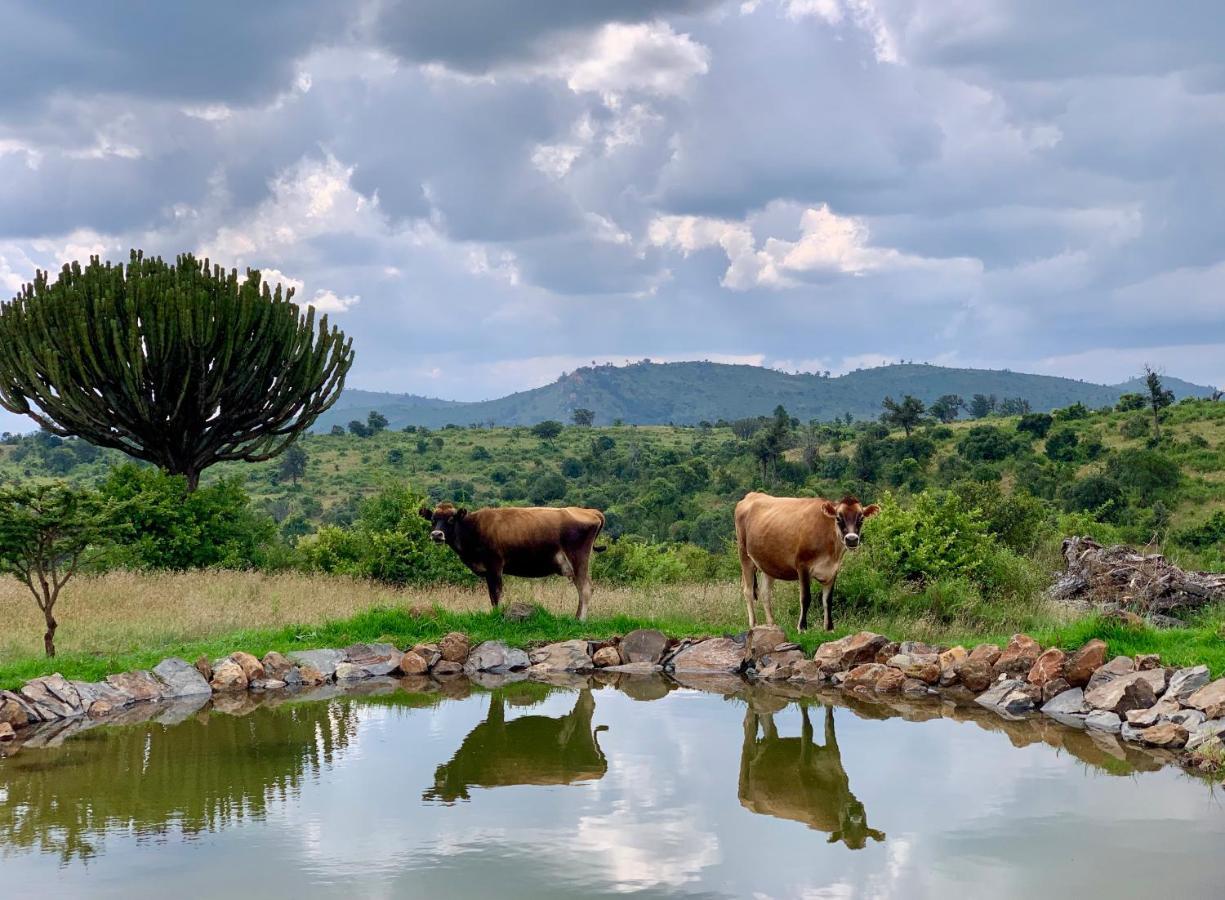 Olepangi Farm Villa Nanyuki Eksteriør billede