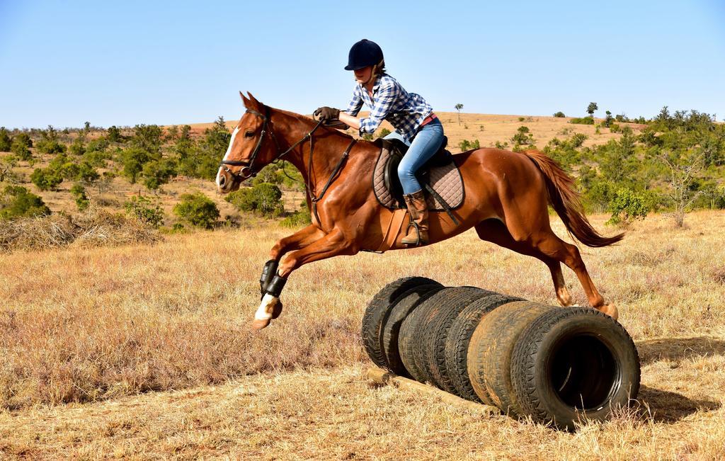 Olepangi Farm Villa Nanyuki Eksteriør billede