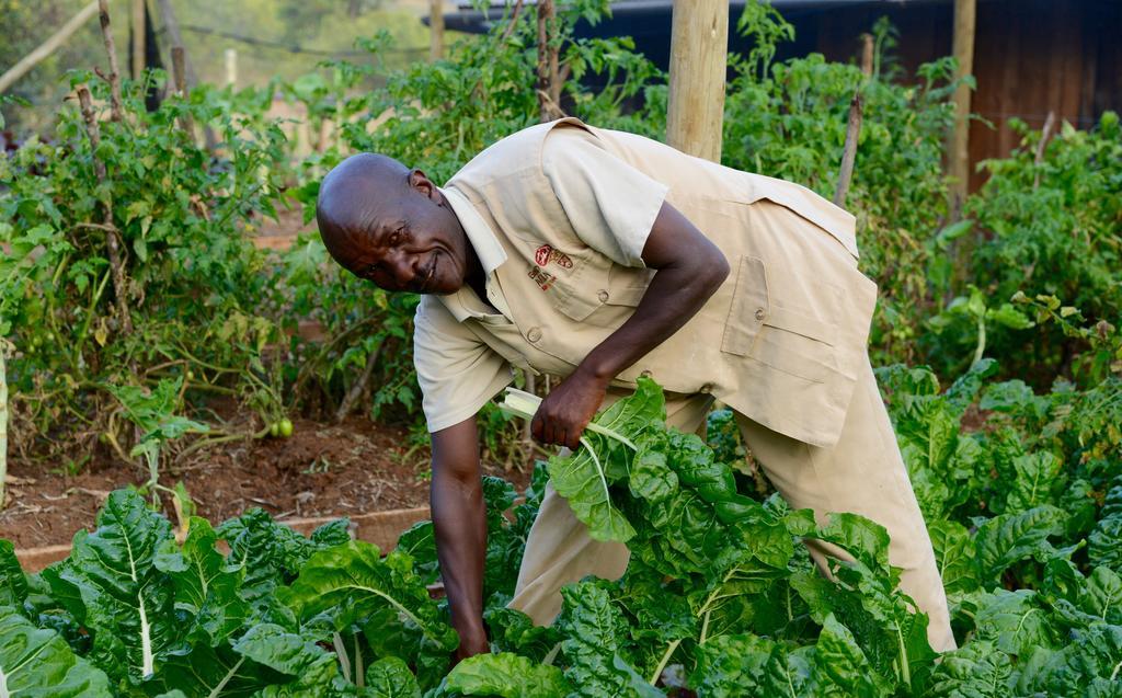 Olepangi Farm Villa Nanyuki Eksteriør billede