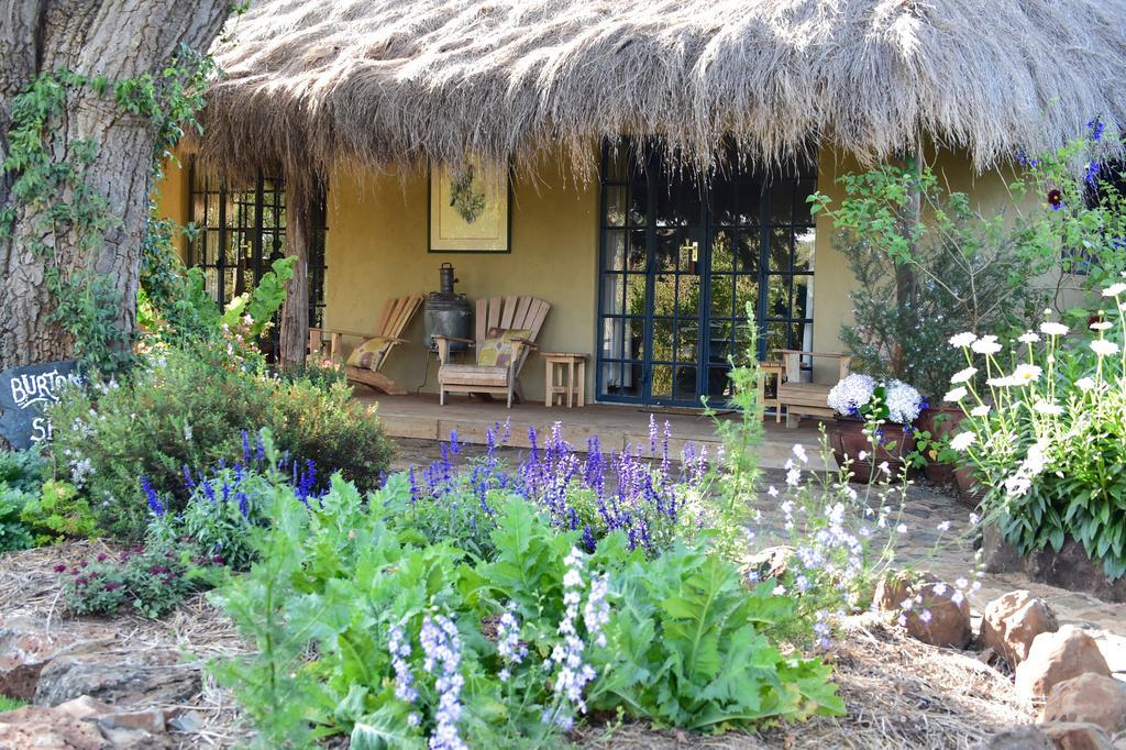 Olepangi Farm Villa Nanyuki Værelse billede