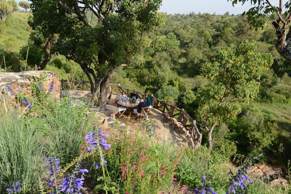 Olepangi Farm Villa Nanyuki Eksteriør billede