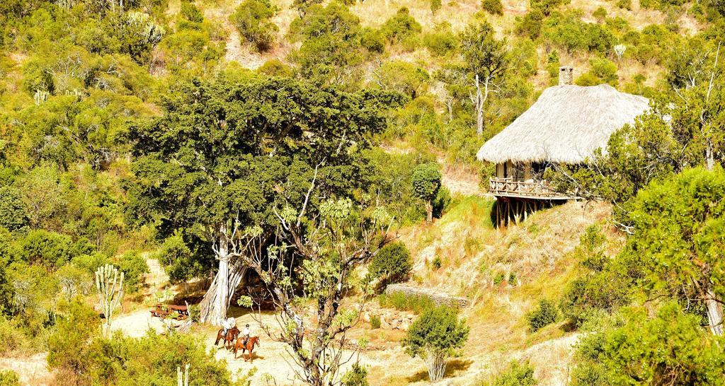 Olepangi Farm Villa Nanyuki Eksteriør billede